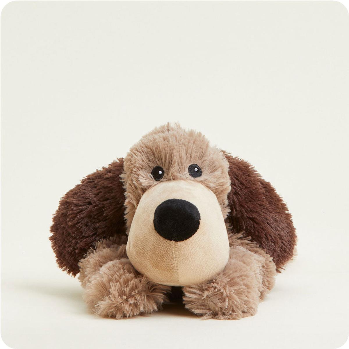 Brown dog