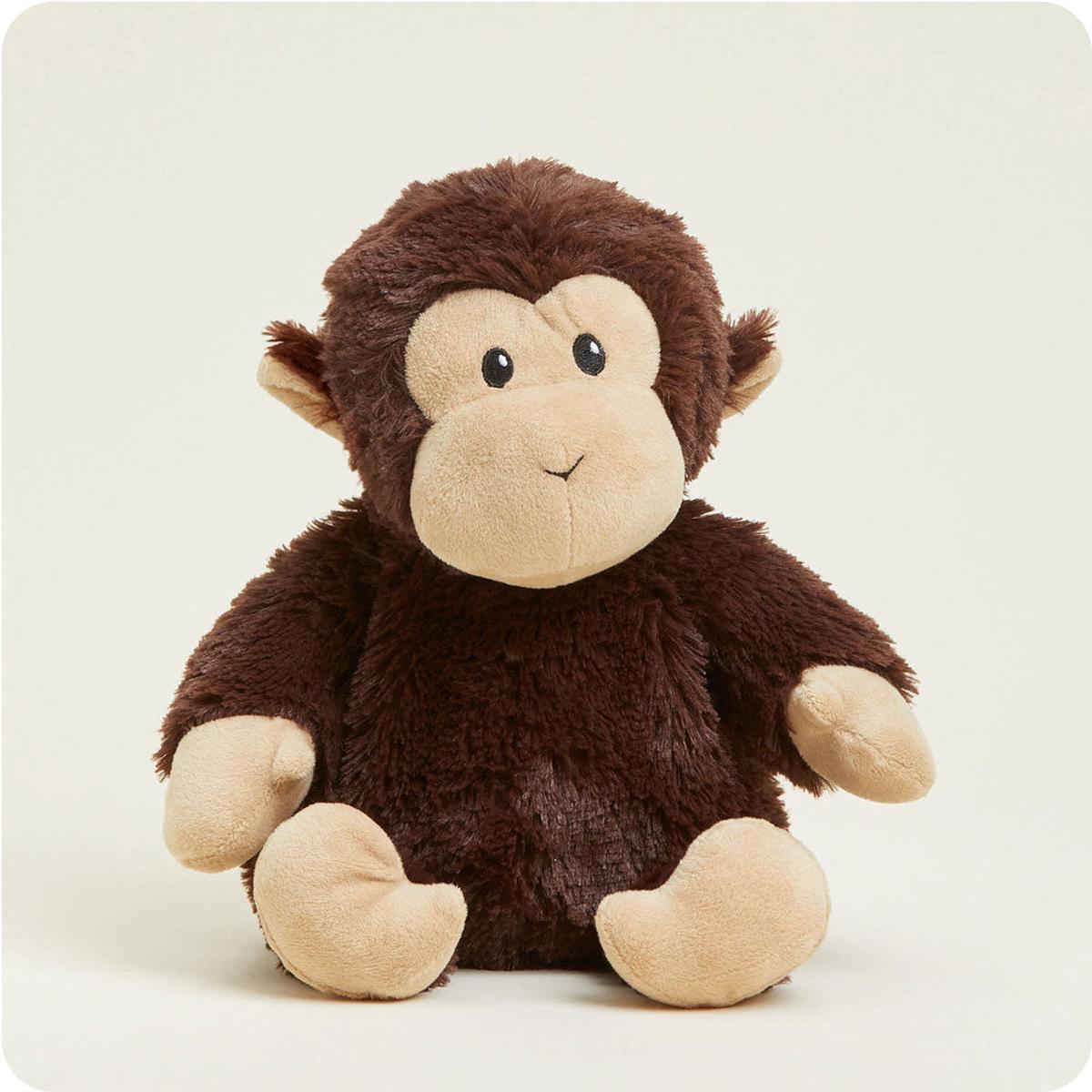 Chimp