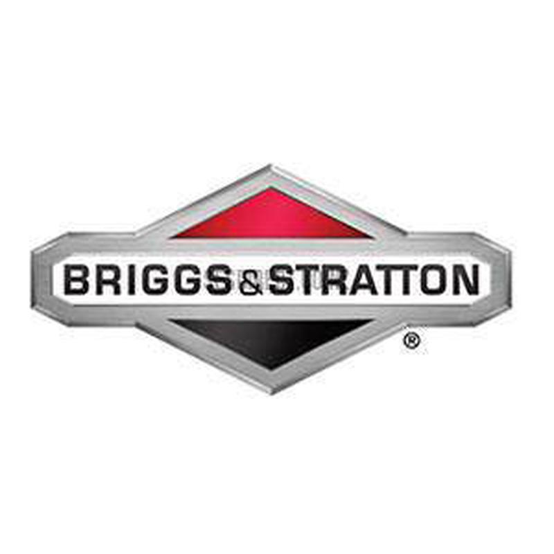 Briggs & Stratton Valve – Exhaust